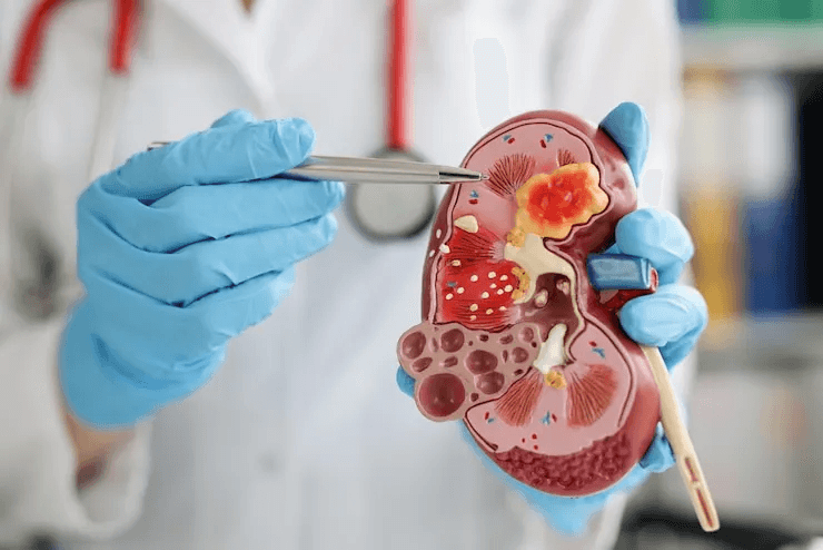 Top Urologist in Ajmer – Dr. Vishnu Agrawal | Laser Stone Removal, Prostate Care & More